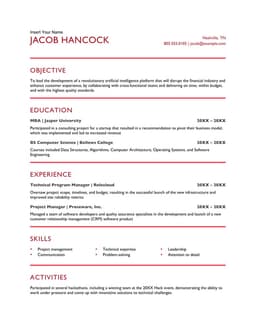 Project management resume form preview