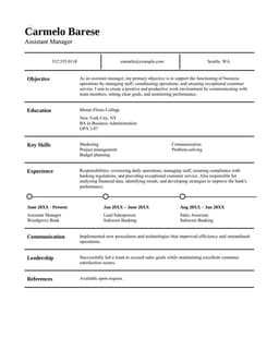 Classic management resume form preview