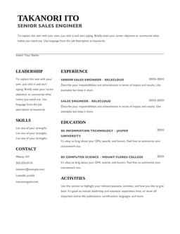 Bold sales resume form preview