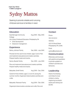 Resume form preview