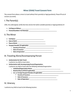 Arizona Minor Travel Consent Details form preview