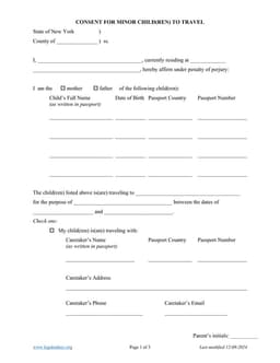 New York Minor Child Travel Authorization Overview form preview