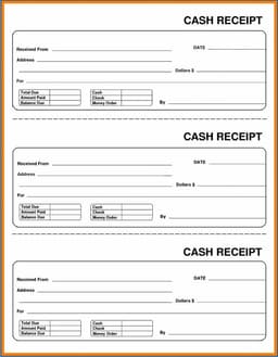 Arizona Cash Transaction Record and Balance Statement form preview