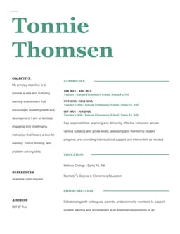 Stylish teaching resume form preview