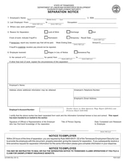 Tennessee Separation Notice Details form preview