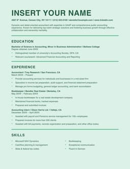 ATS stylish accounting resume form preview