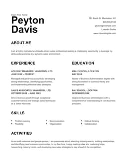 Stylish sales resume form preview