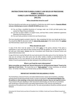 Florida Family Law Financial Affidavit Long Form 12.902(c) Overview form preview