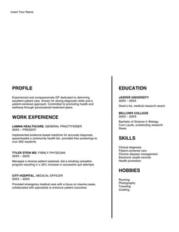 Graphic header professional resume form preview