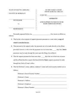 South Carolina Ninth Judicial Circuit Support Payment Affidavit form preview