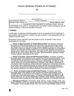 Hawaii General Power of Attorney for Personal Affairs Management form preview