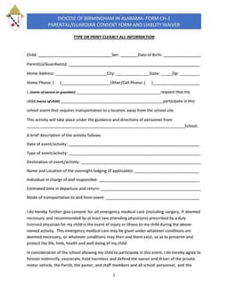 Alabama CH-1 Child Medical Consent and Travel Document form preview