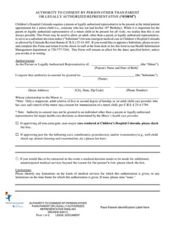 Colorado Child Medical Consent 15-14-105: Authority for Non-Parental Decisions form preview