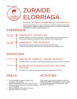 Modern chronological resume form preview