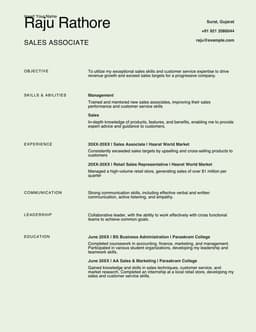 Simple sales resume form preview