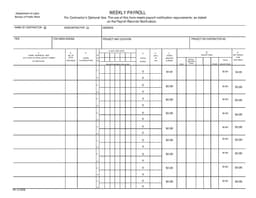 New York Weekly Payroll Record - Bureau of Public Work form preview