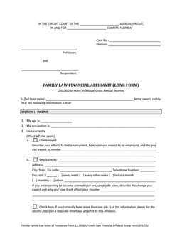Florida Financial Affidavit Long Form for Family Law Cases form preview