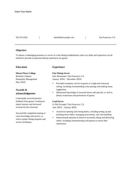 Simple resume  form preview