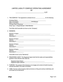 LLC Operating Agreement - Establish Your Company's Structure and Ownership form preview