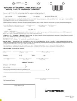 New Mexico Power of Attorney for Minor Care 01-2290-126 form preview