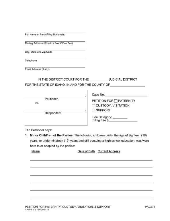Idaho Paternity, Custody, Visitation and Support Petition Overview