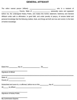 Affidavit Form form preview