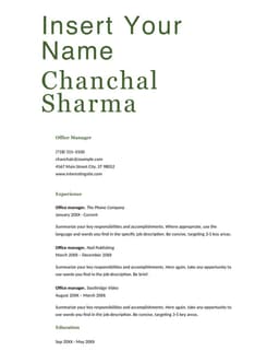 ATS simple classic resume form preview