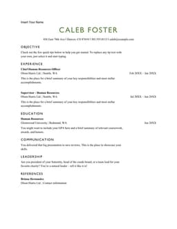 ATS basic HR resume form preview