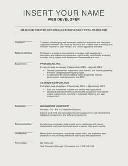Modern web developer resume form preview