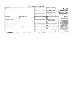 1099ptr form preview