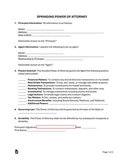 Springing Power of Attorney - Assign Financial Real Estate and Family Maintenance Powers form preview