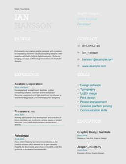 Color block resume form preview