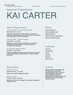 Modern traditional professional resume form preview