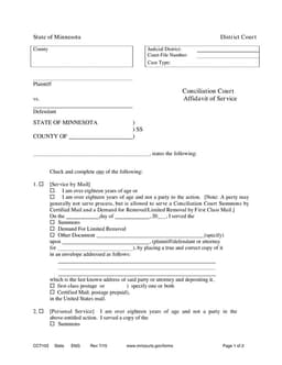 CCT103 - Minnesota District Court Affidavit of Service Overview form preview