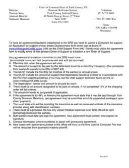 York County Pennsylvania Support Order Procedure form preview