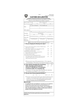 Japan Customs Declaration Form (C No. 5360-B) form preview