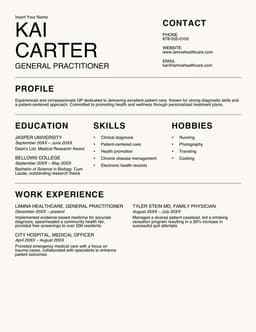 Modern classic professional resume form preview
