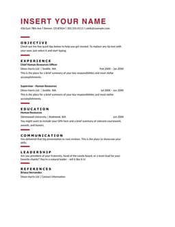 ATS bold HR resume form preview