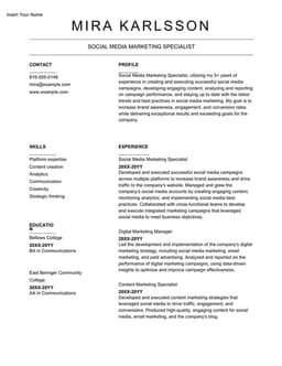 Social media marketing resume form preview