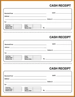 Arizona Cash Transaction Record and Balance Statement form preview