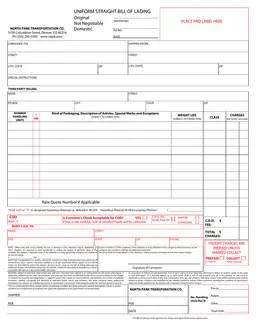 Colorado Uniform Straight Bill of Lading - NOPK 500 Rules & NMFC 100 Series Adjustments form preview